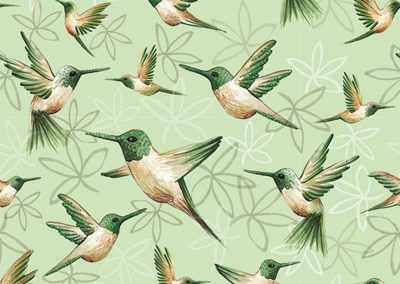 colibri.pattern