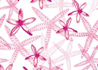 estrellademar.pattern