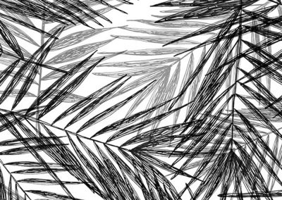 palmera.pattern